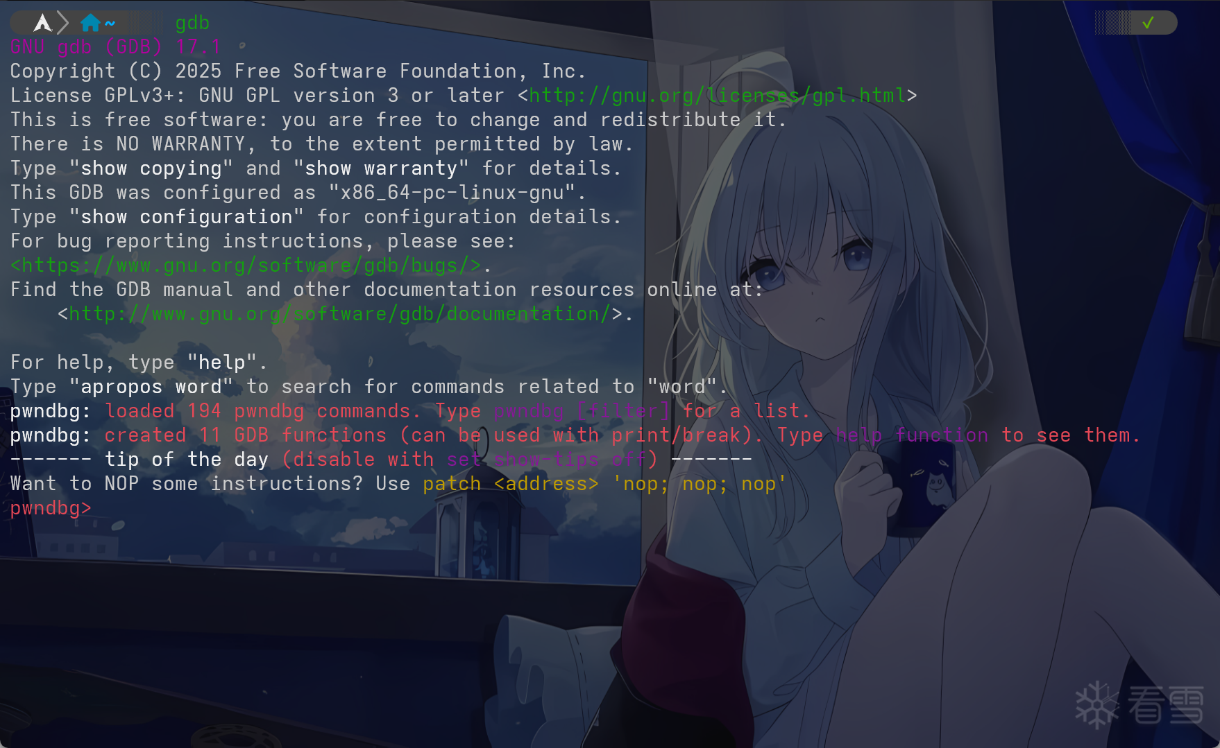 茶余饭后-[分享]关于Arch Linux安装pwndbg