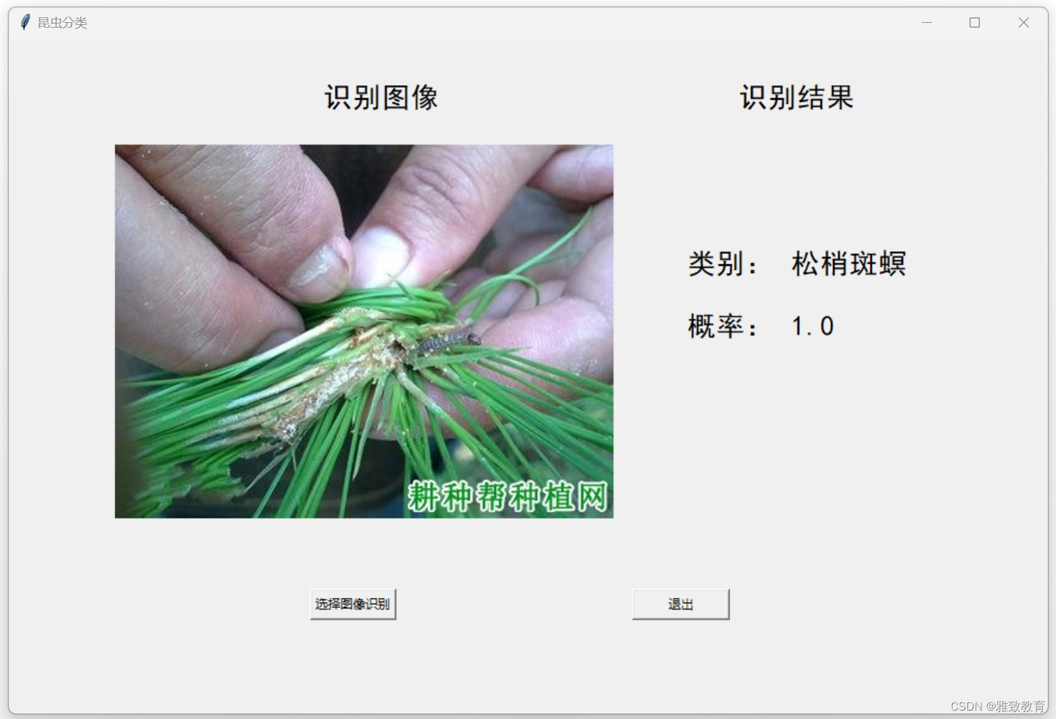 python-深度学习之基于Pytorch的昆虫分类识别系统_游戏逆向|游戏 ...