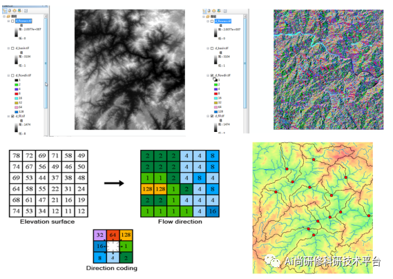 数据分析-无人机生态环境监测、图像处理与GIS数据分析