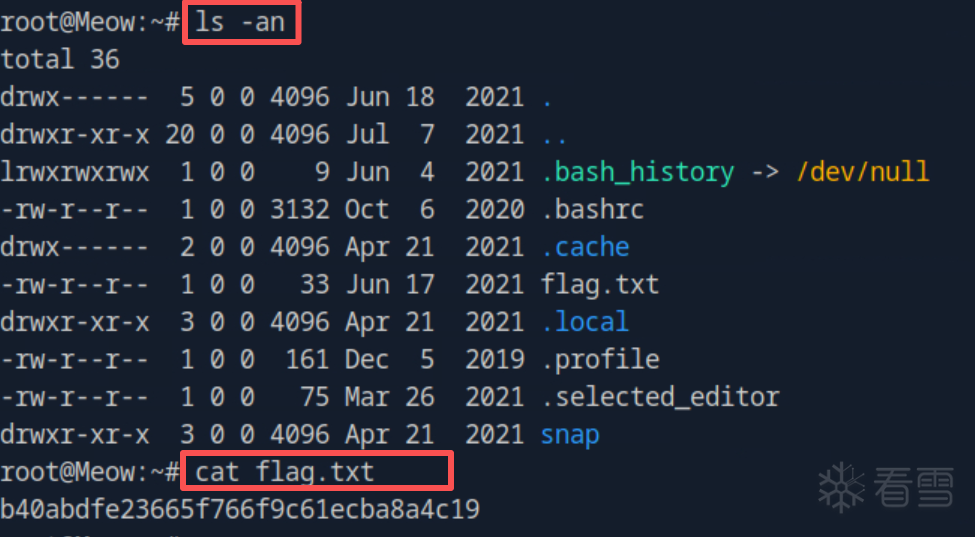 二进制漏洞- CSABC_T001_HTBLABS_Meow